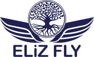 Eliz-Logo