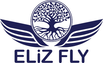 ElizFly Travel